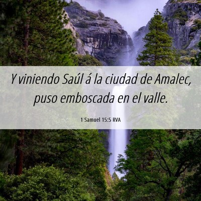 Picture 06 - 1 Samuel 15:5 RVA - Y viniendo Saúl á la ciudad de Amalec, puso - Bible Verse Picture
