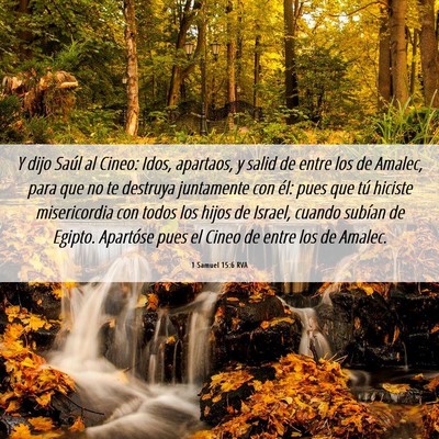 Picture 06 - 1 Samuel 15:6 RVA - Y dijo Saúl al Cineo: Idos, apartaos, y salid de - Bible Verse Picture