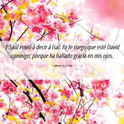 Picture 06 - 1 Samuel 16:22 RVA - Y Saúl envió á decir á Isaí: Yo te ruego que - Bible Verse Picture