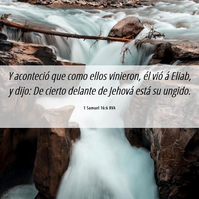 Picture 06 - 1 Samuel 16:6 RVA - Y aconteció que como ellos vinieron, él vió á - Bible Verse Picture