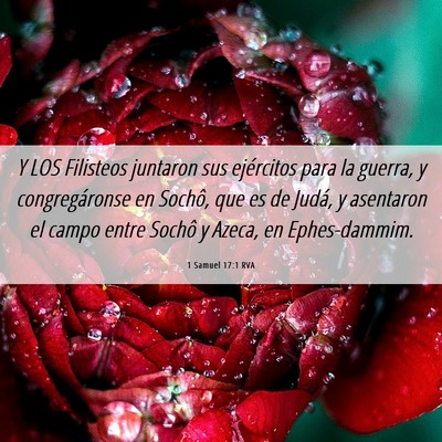 Picture 06 - 1 Samuel 17:1 RVA - Y LOS Filisteos juntaron sus ejércitos para la - Bible Verse Picture