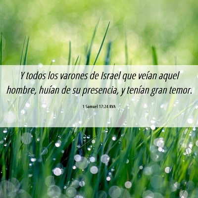 Picture 06 - 1 Samuel 17:24 RVA - Y todos los varones de Israel que veían aquel - Bible Verse Picture