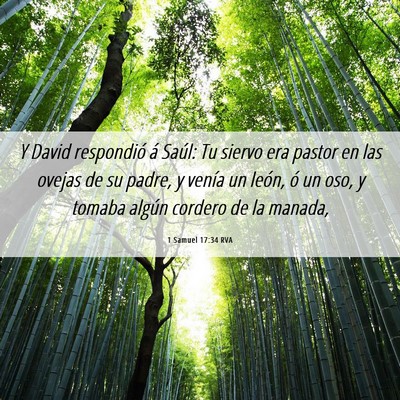 Picture 06 - 1 Samuel 17:34 RVA - Y David respondió á Saúl: Tu siervo era pastor - Bible Verse Picture