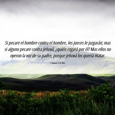 Picture 06 - 1 Samuel 2:25 RVA - Si pecare el hombre contra el hombre, los jueces - Bible Verse Picture