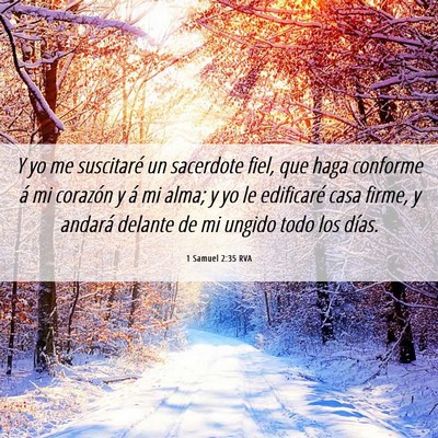 Picture 06 - 1 Samuel 2:35 RVA - Y yo me suscitaré un sacerdote fiel, que haga - Bible Verse Picture