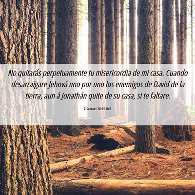 Picture 06 - 1 Samuel 20:15 RVA - No quitarás perpetuamente tu misericordia de mi - Bible Verse Picture