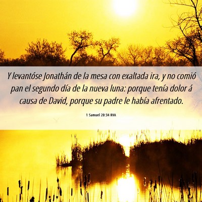 Picture 06 - 1 Samuel 20:34 RVA - Y levantóse Jonathán de la mesa con exaltada - Bible Verse Picture