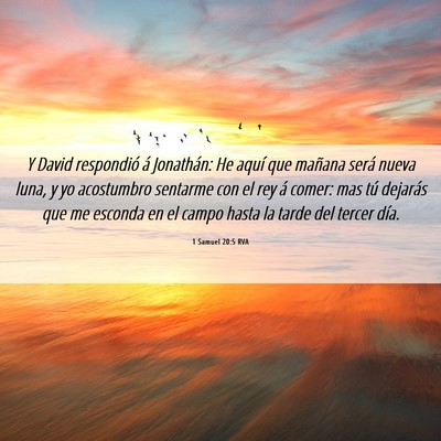 Picture 06 - 1 Samuel 20:5 RVA - Y David respondió á Jonathán: He aquí que - Bible Verse Picture