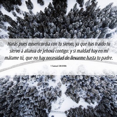 Picture 06 - 1 Samuel 20:8 RVA - Harás pues misericordia con tu siervo, ya que - Bible Verse Picture