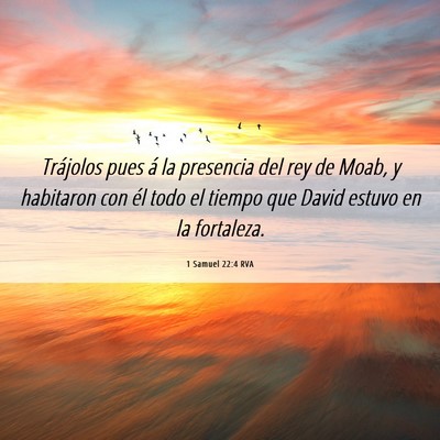 Picture 06 - 1 Samuel 22:4 RVA - Trájolos pues á la presencia del rey de Moab, y - Bible Verse Picture