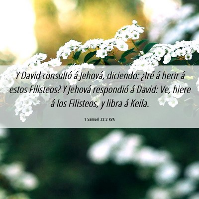 Picture 06 - 1 Samuel 23:2 RVA - Y David consultó á Jehová, diciendo: ¿Iré á - Bible Verse Picture