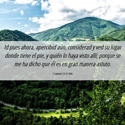 Picture 06 - 1 Samuel 23:22 RVA - Id pues ahora, apercibid aún, considerad y ved - Bible Verse Picture