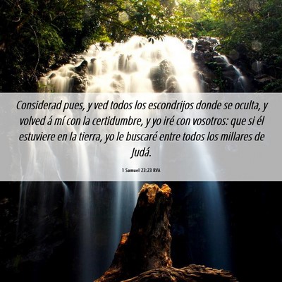 Picture 06 - 1 Samuel 23:23 RVA - Considerad pues, y ved todos los escondrijos - Bible Verse Picture