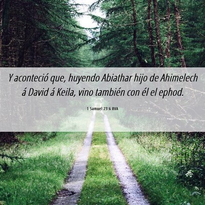 Picture 06 - 1 Samuel 23:6 RVA - Y aconteció que, huyendo Abiathar hijo de - Bible Verse Picture