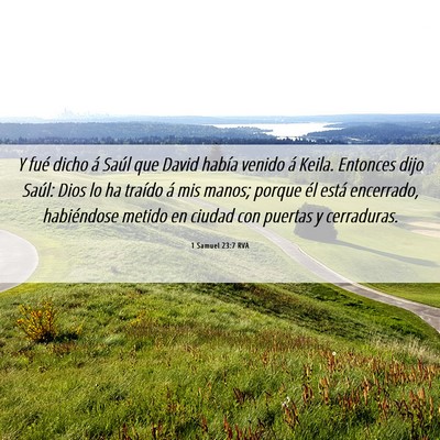 Picture 06 - 1 Samuel 23:7 RVA - Y fué dicho á Saúl que David había venido á - Bible Verse Picture