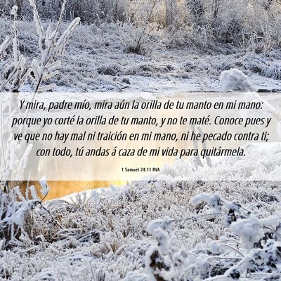 Picture 06 - 1 Samuel 24:11 RVA - Y mira, padre mío, mira aún la orilla de tu - Bible Verse Picture