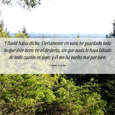 Picture 06 - 1 Samuel 25:21 RVA - Y David había dicho: Ciertamente en vano he - Bible Verse Picture