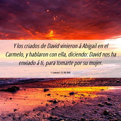 Picture 06 - 1 Samuel 25:40 RVA - Y los criados de David vinieron á Abigail en el - Bible Verse Picture