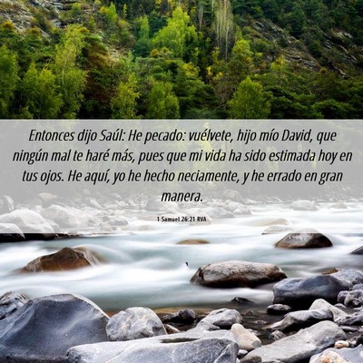 Picture 06 - 1 Samuel 26:21 RVA - Entonces dijo Saúl: He pecado: vuélvete, hijo - Bible Verse Picture