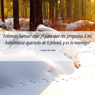Picture 06 - 1 Samuel 28:16 RVA - Entonces Samuel dijo: ¿Y para qué me preguntas - Bible Verse Picture