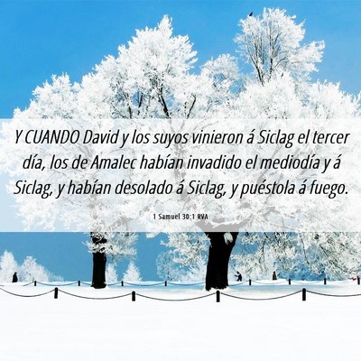 Picture 06 - 1 Samuel 30:1 RVA - Y CUANDO David y los suyos vinieron á Siclag el - Bible Verse Picture