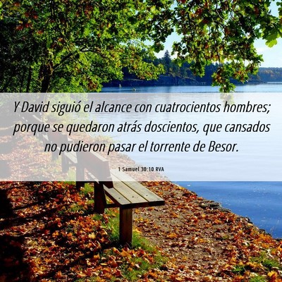 Picture 06 - 1 Samuel 30:10 RVA - Y David siguió el alcance con cuatrocientos - Bible Verse Picture