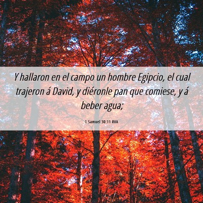 Picture 06 - 1 Samuel 30:11 RVA - Y hallaron en el campo un hombre Egipcio, el cual - Bible Verse Picture