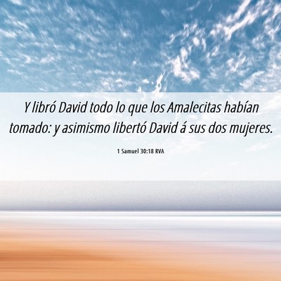 Picture 06 - 1 Samuel 30:18 RVA - Y libró David todo lo que los Amalecitas habían - Bible Verse Picture