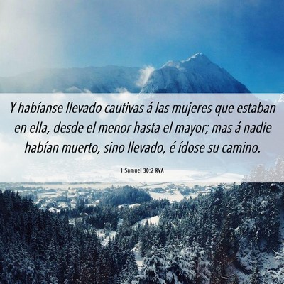Picture 06 - 1 Samuel 30:2 RVA - Y habíanse llevado cautivas á las mujeres que - Bible Verse Picture