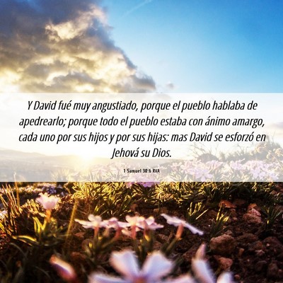 Picture 06 - 1 Samuel 30:6 RVA - Y David fué muy angustiado, porque el pueblo - Bible Verse Picture