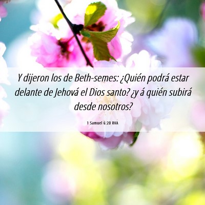 Picture 06 - 1 Samuel 6:20 RVA - Y dijeron los de Beth-semes: ¿Quién podrá - Bible Verse Picture
