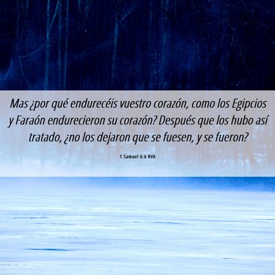 Picture 06 - 1 Samuel 6:6 RVA - Mas ¿por qué endurecéis vuestro corazón, como - Bible Verse Picture