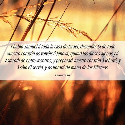 Picture 06 - 1 Samuel 7:3 RVA - Y habló Samuel á toda la casa de Israel, - Bible Verse Picture