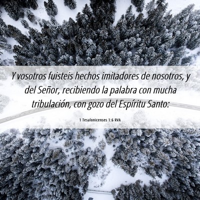 Picture 06 - 1 Tesalonicenses 1:6 RVA - Y vosotros fuisteis hechos imitadores de - Bible Verse Picture