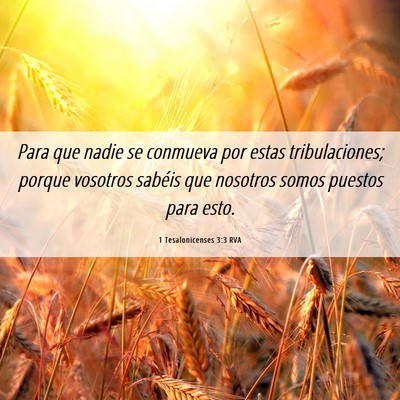 Picture 06 - 1 Tesalonicenses 3:3 RVA - Para que nadie se conmueva por estas - Bible Verse Picture