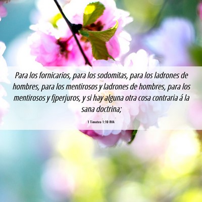 Picture 06 - 1 Timoteo 1:10 RVA - Para los fornicarios, para los sodomitas, para - Bible Verse Picture