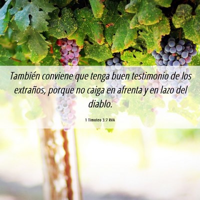 Picture 06 - 1 Timoteo 3:7 RVA - También conviene que tenga buen testimonio de - Bible Verse Picture