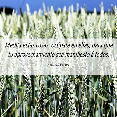 Picture 06 - 1 Timoteo 4:15 RVA - Medita estas cosas; ocúpate en ellas; para que - Bible Verse Picture