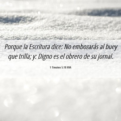 Picture 06 - 1 Timoteo 5:18 RVA - Porque la Escritura dice: No embozarás al buey - Bible Verse Picture