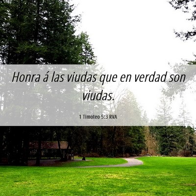 Picture 06 - 1 Timoteo 5:3 RVA - Honra á las viudas que en verdad son - Bible Verse Picture