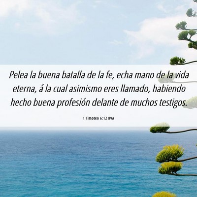 Picture 06 - 1 Timoteo 6:12 RVA - Pelea la buena batalla de la fe, echa mano de la - Bible Verse Picture