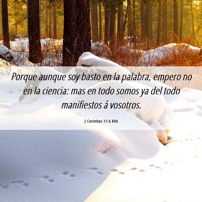 Picture 06 - 2 Corintios 11:6 RVA - Porque aunque soy basto en la palabra, empero no - Bible Verse Picture