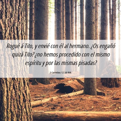 Picture 06 - 2 Corintios 12:18 RVA - Rogué á Tito, y envié con él al hermano. ¿Os - Bible Verse Picture