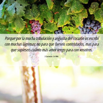 Picture 06 - 2 Corintios 2:4 RVA - Porque por la mucha tribulación y angustia del - Bible Verse Picture