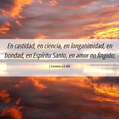 Picture 06 - 2 Corintios 6:6 RVA - En castidad, en ciencia, en longanimidad, en - Bible Verse Picture