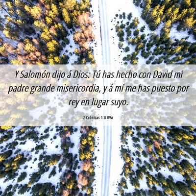 Picture 06 - 2 Crónicas 1:8 RVA - Y Salomón dijo á Dios: Tú has hecho con David - Bible Verse Picture