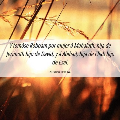 Picture 06 - 2 Crónicas 11:18 RVA - Y tomóse Roboam por mujer á Mahalath, hija de - Bible Verse Picture