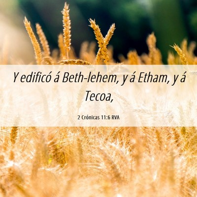 Picture 06 - 2 Crónicas 11:6 RVA - Y edificó á Beth-lehem, y á Etham, y á - Bible Verse Picture