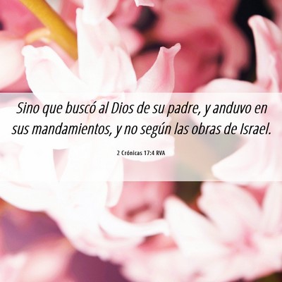 Picture 06 - 2 Crónicas 17:4 RVA - Sino que buscó al Dios de su padre, y anduvo en - Bible Verse Picture