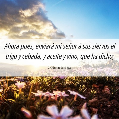 Picture 06 - 2 Crónicas 2:15 RVA - Ahora pues, enviará mi señor á sus siervos el - Bible Verse Picture